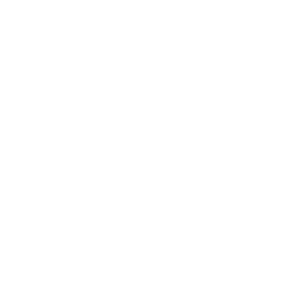 AutoBiz System